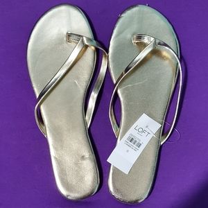 Essential Flip Flops